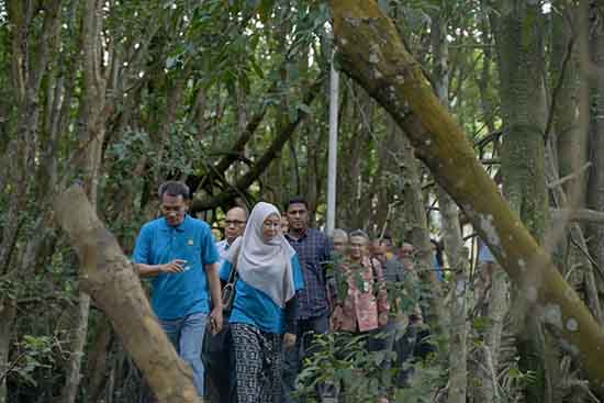 UNRI Kembangkan Kawasan Ekowisata Mangrove di Kampus Dumai Bersama PHR (Sumber: HUMAS Universitas Riau)