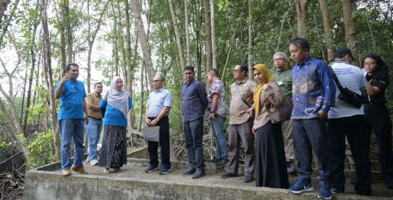 UNRI Kembangkan Kawasan Ekowisata Mangrove di Kampus Dumai Bersama PHR (Sumber: HUMAS Universitas Riau)