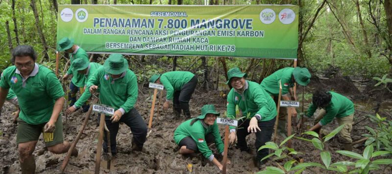 UNRI Laksanakan Penanaman Mangrove Bersama PT KPI (Sumber: HUMAS Universitas Riau)