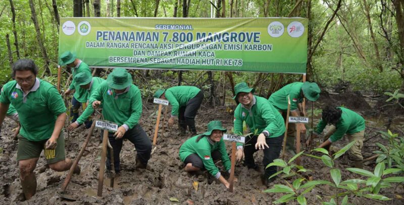 UNRI Laksanakan Penanaman Mangrove Bersama PT KPI (Sumber: HUMAS Universitas Riau)
