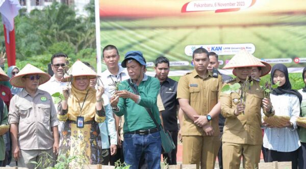 Verietas Baru Kacang Hijau “Srikandi” dan “ASRI” Itu Ada di UNRI (Sumber: HUMAS Universitas Riau)